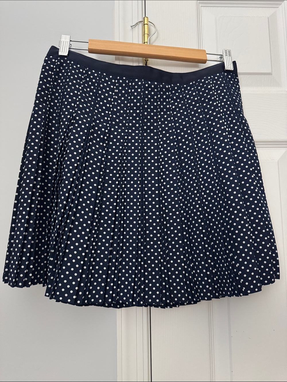 J. Crew Navy and White Polka Dot Pleated Skater Skirt